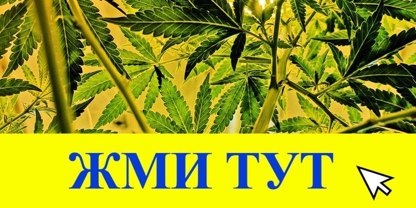 Купить наркотики в Туймазы